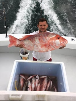 Red Snapper Fishing in Orange Beach, Alabama