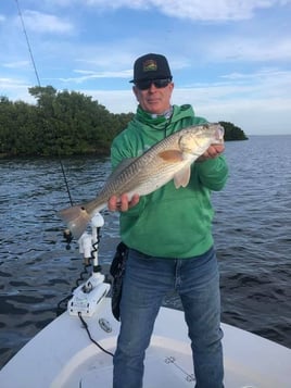 Redfish Fishing in Fort Myers, Florida