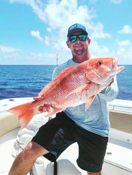 Red Snapper Fishing in Cape Coral, Florida