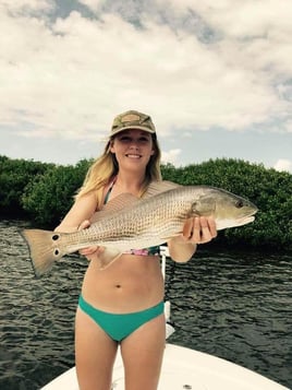 Redfish Fishing in Cape Coral, Florida