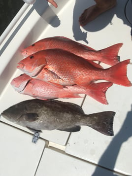 Charleston Nearshore Fishing