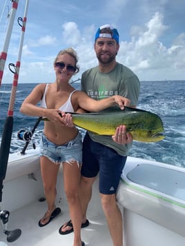 Mahi Mahi Fishing in Fort Lauderdale, Florida