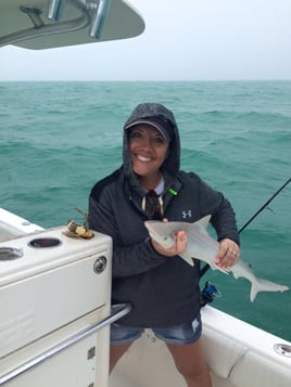 Shark Fishing Trip