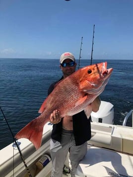 Red Snapper Fishing in Pensacola, Florida