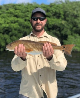 Rod-Bending Action in Cape Coral