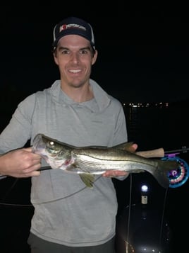 Snook Fishing in Jupiter, Florida