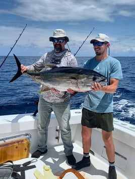 Yellowfin Tuna Fishing in Puerto Jiménez, Costa Rica