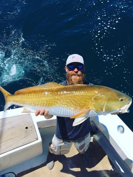 Redfish Fishing in Wanchese, North Carolina