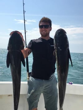 Morehead City Cobia Hunt