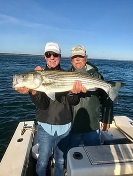 Striped Bass Fishing in Nantucket, Massachusetts