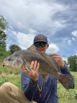 Texas Bass and Drum on the Fly