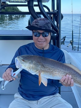 Redfish Fishing in Crystal River, Florida