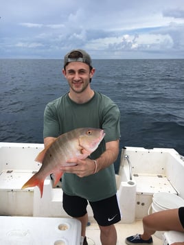 Mutton Snapper Fishing in Pompano Beach, Florida