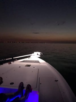 Nighttime Shark Trip