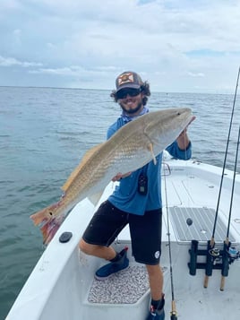 Redfish Fishing in Holmes Beach, Florida