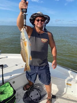 Clear Lake Redfish Rodeo