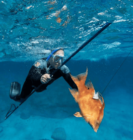 Spearfishing Charters