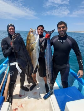 Cabo Spearfishing