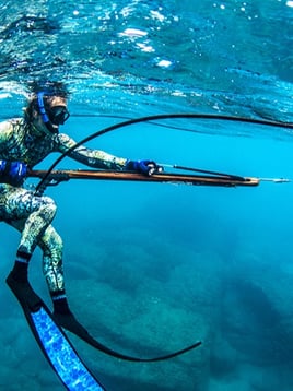 Spearfishing Baja California