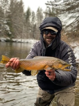 Michigan Streamer Trout Trip