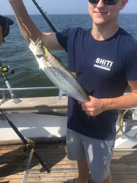 Annapolis Fishing Charters