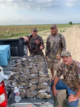 South Texas Doves and White Wings