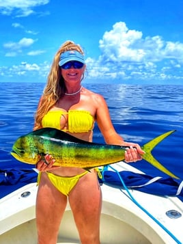 Offshore Key West - 24' Dorado Custom