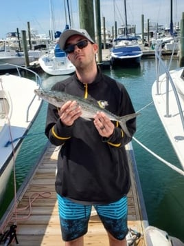 Nearshore Sportfish Roundup