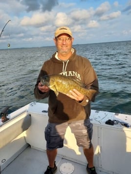 Lake Erie Smallies, Walleye, and Perch