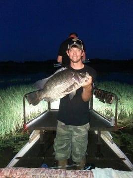 Night Bowfishing (4 Hours)