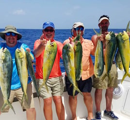 Mahi Mahi Fishing in Key West, Florida