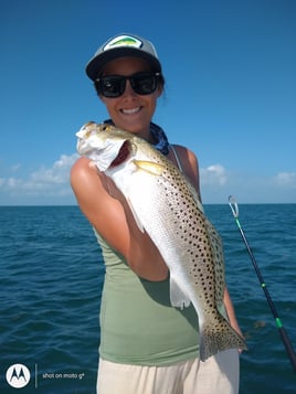 Speckled Trout Fishing in Big Pine Key, Florida