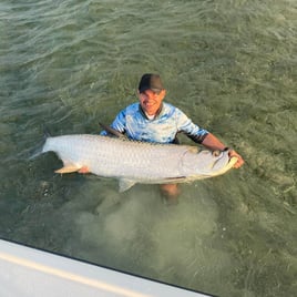 Tarpon Fishing in Key West, Florida