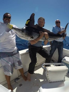 Cabo Luxury Fishing - 43' Riviera