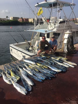 Mahi Mahi Fishing in Punta Cana, Dominican Republic