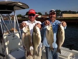 Half Day Lake Conroe