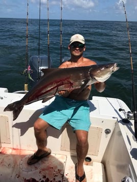 Redfish & Kingfish Trolling Trip