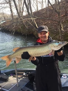 Tennessee Musky Fly Fishing