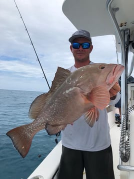 Red Grouper Fishing in Key West, Florida