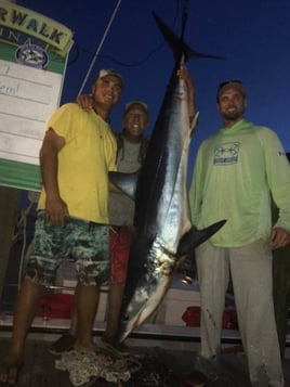 Sharks Baby! - 22’ Cape Horn