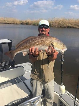 Full Day or Half-day Inshore Trip