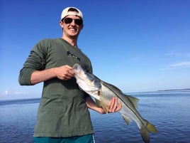 Snook Fishing in Islamorada, Florida