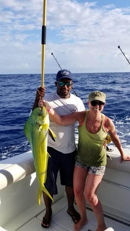 Mahi Mahi Fishing in Punta Cana, Dominican Republic