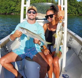 Snook Fishing in St. Petersburg, Florida