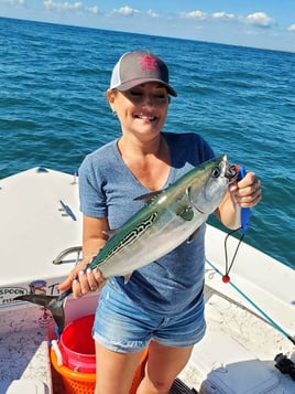 False Albacore Fishing in Beaufort, North Carolina