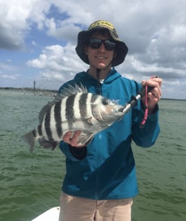 Sheepshead Fishing in Naples, Florida