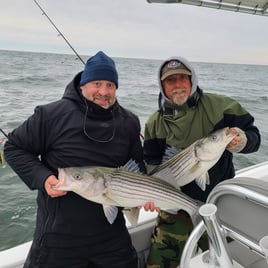 Stone Harbor Inshore/Nearshore