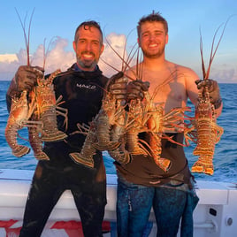 Lobster Fishing in Islamorada, Florida