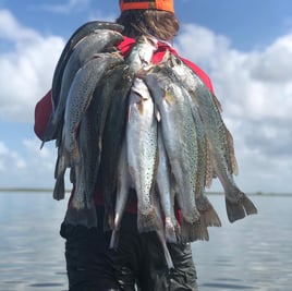 Speckled Trout Fishing in Corpus Christi, Texas