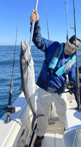 Barracuda Fishing in North Charleston, South Carolina